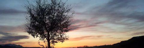 micaela_best's profile banner image