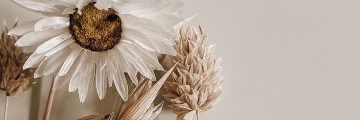 AnnaMrC's profile banner image