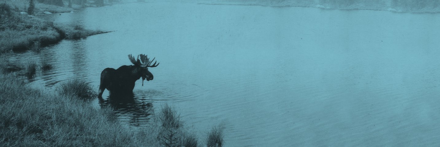 MiPeninsulas's profile banner image