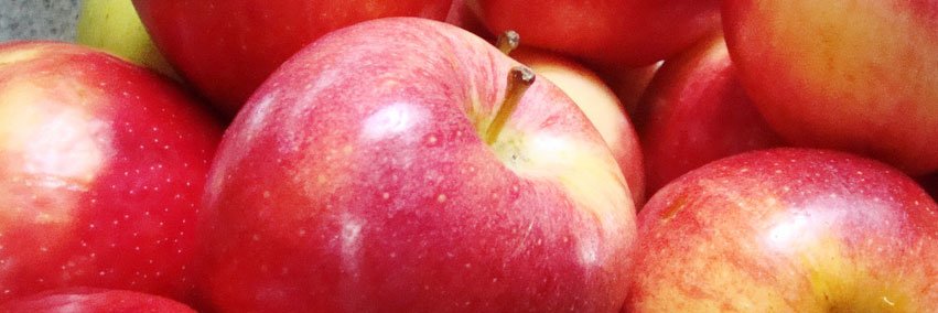 NewMarkSunFresh's profile banner image