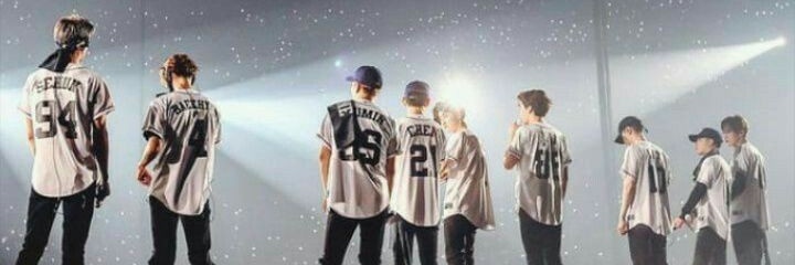 TY | D.O | MARK banner
