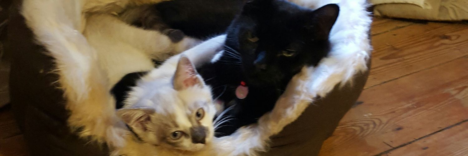petnurseservice's profile banner image