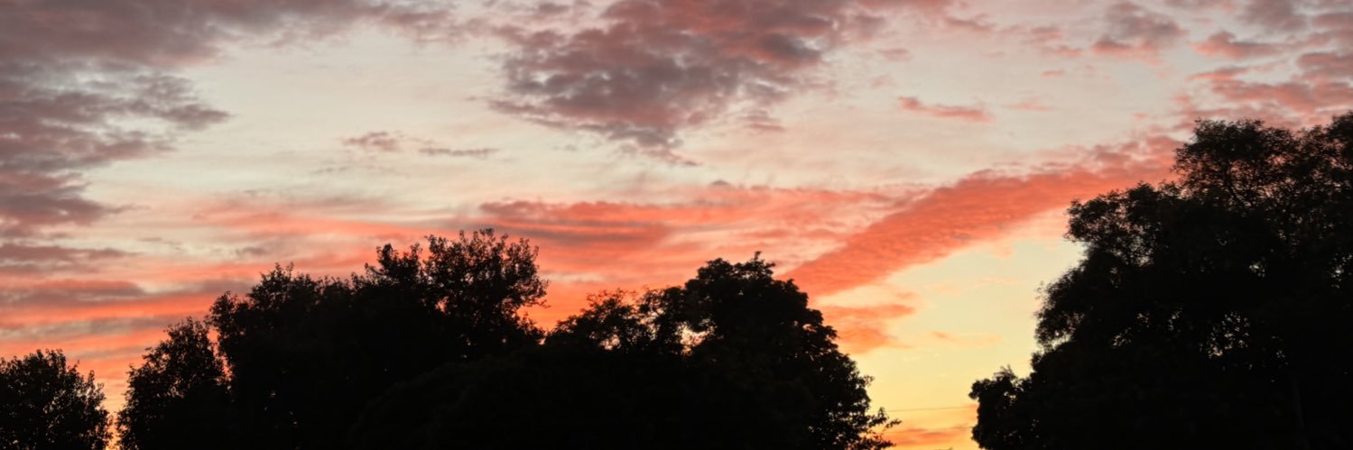 conifiorini's profile banner image