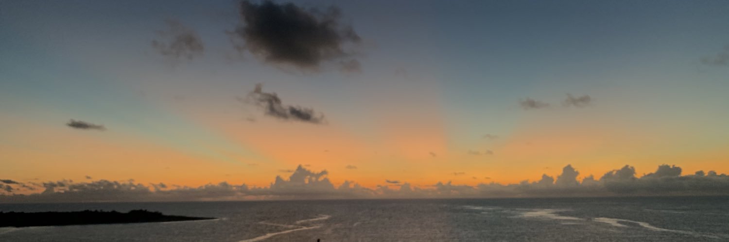 skyecarrera's profile banner image