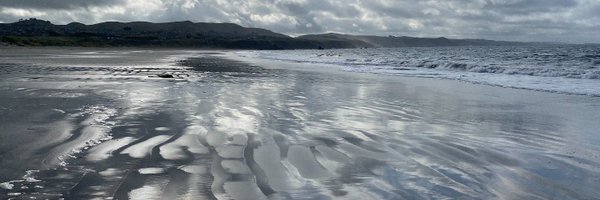 alisonsowls Profile Banner