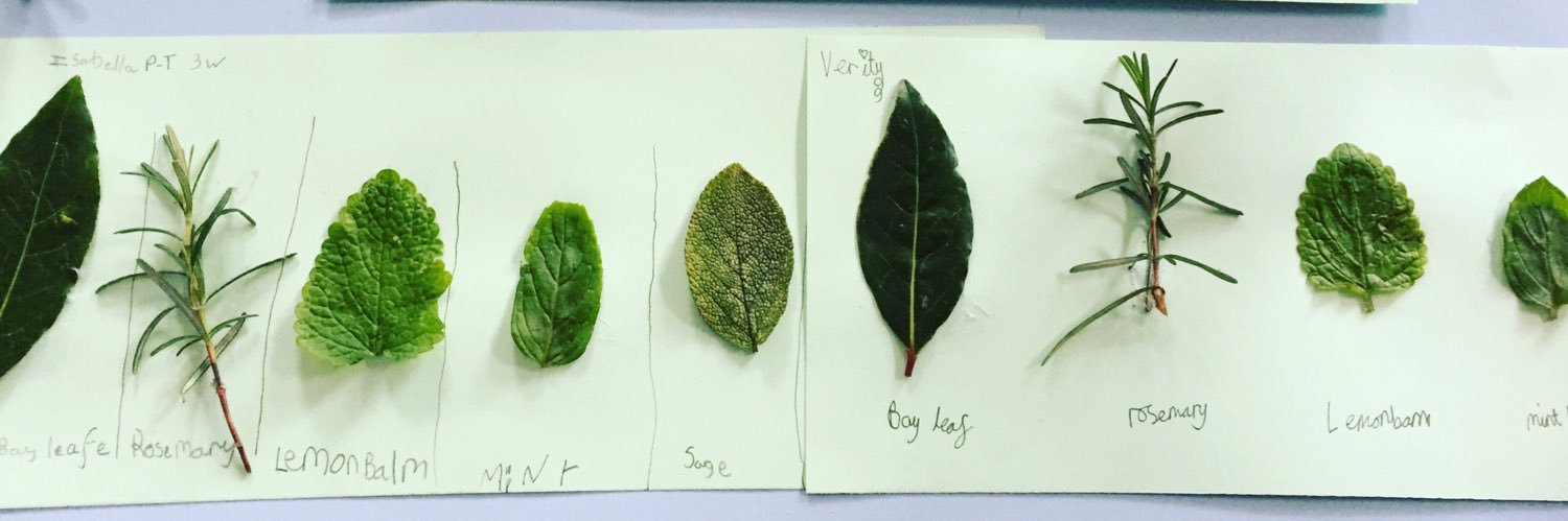 Outdoor education @ PHS Prep school banner