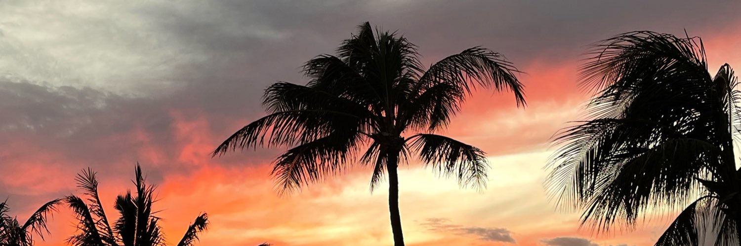 ericdanl's profile banner image