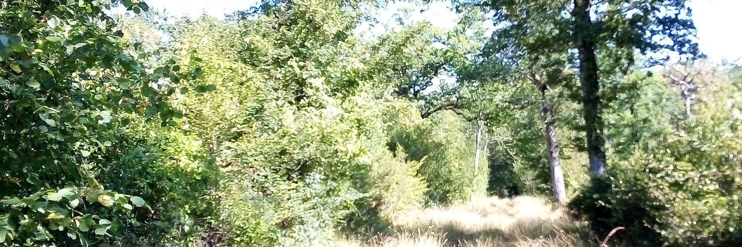 10Parisee's profile banner image