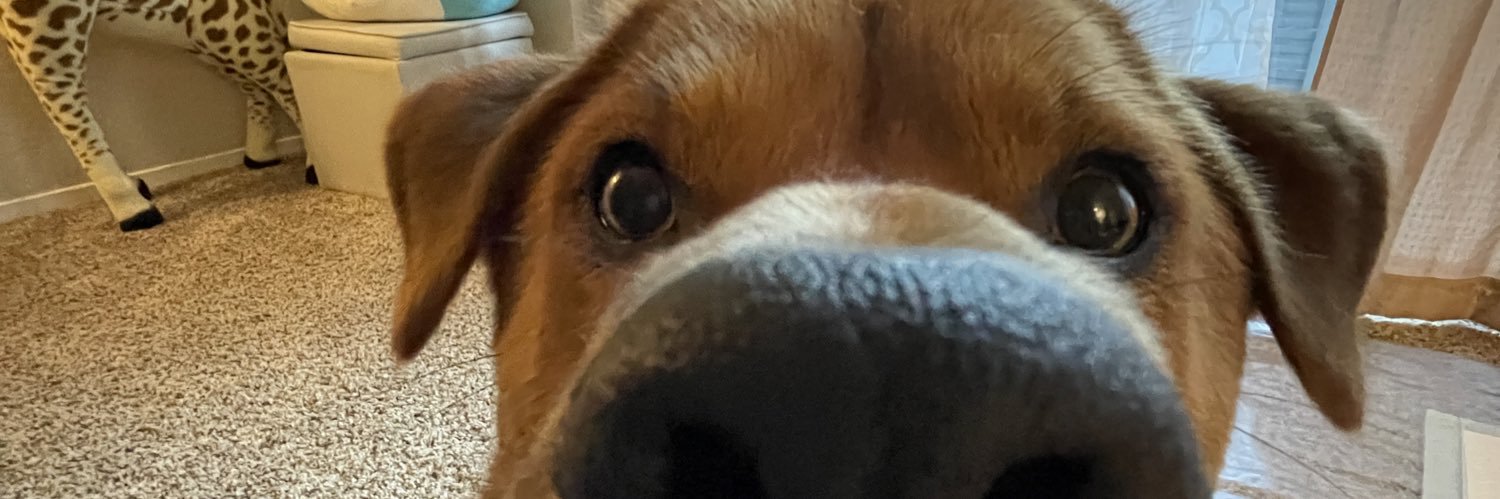 binxsicle's profile banner image