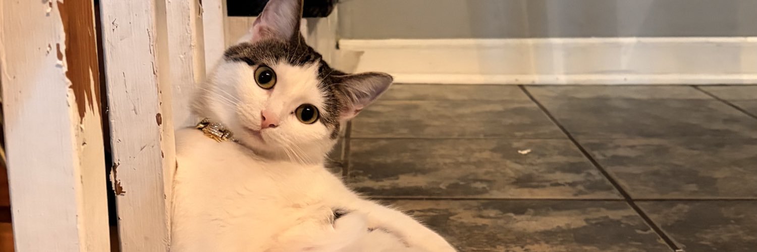 nana0da's profile banner image