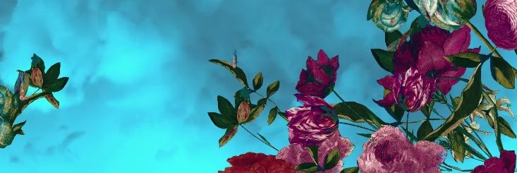 CraigAlker's profile banner image