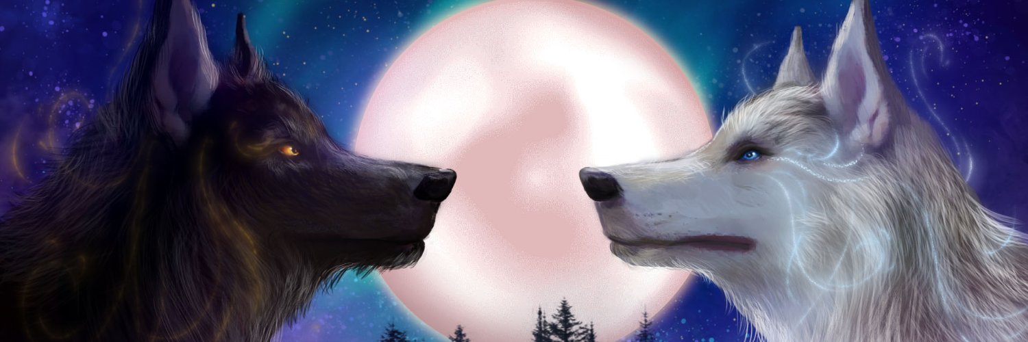 Gabrieldev 🧪 banner