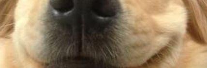 harridts's profile banner image