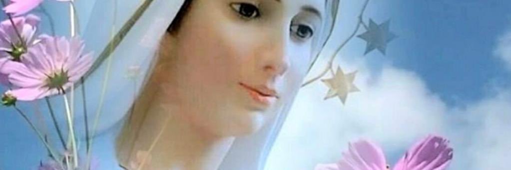 Norma Faissal banner