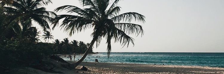 mahagatelli's profile banner image