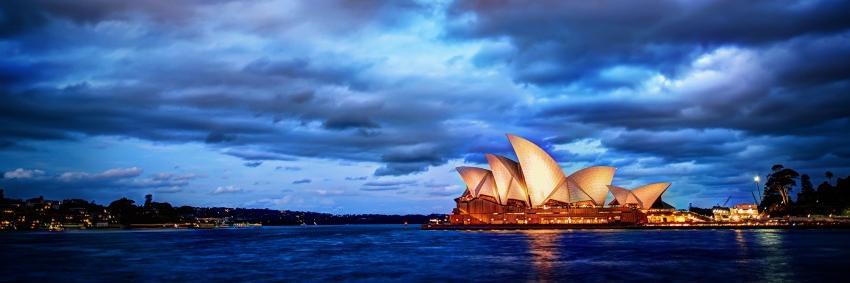 Elise Buisson banner