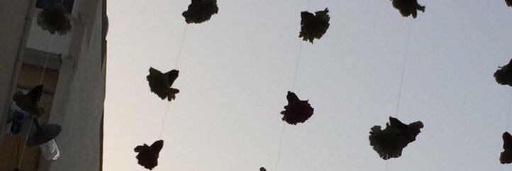 BonelloNaomi's profile banner image