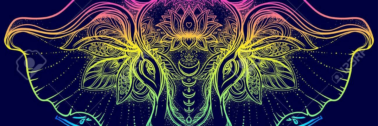 Funkytorin0's profile banner image
