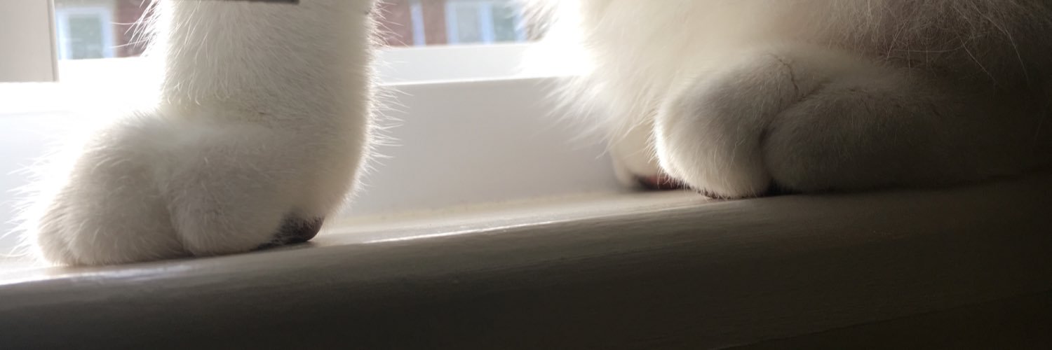 KT_hojle's profile banner image