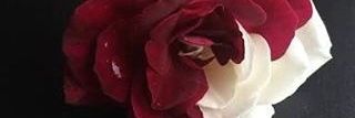 Ezra_07's profile banner image