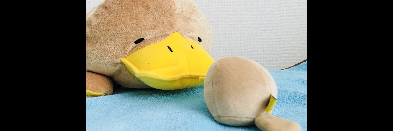 fagokko's profile banner image