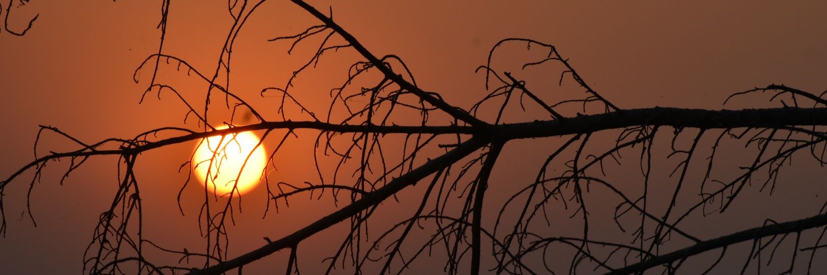 RKDas_tweets's profile banner image