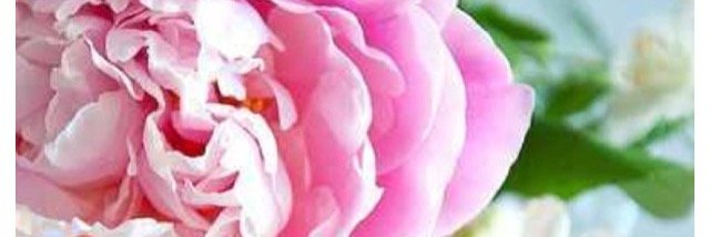 MNHiL's profile banner image