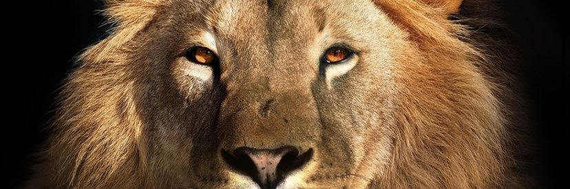 betsofbd's profile banner image