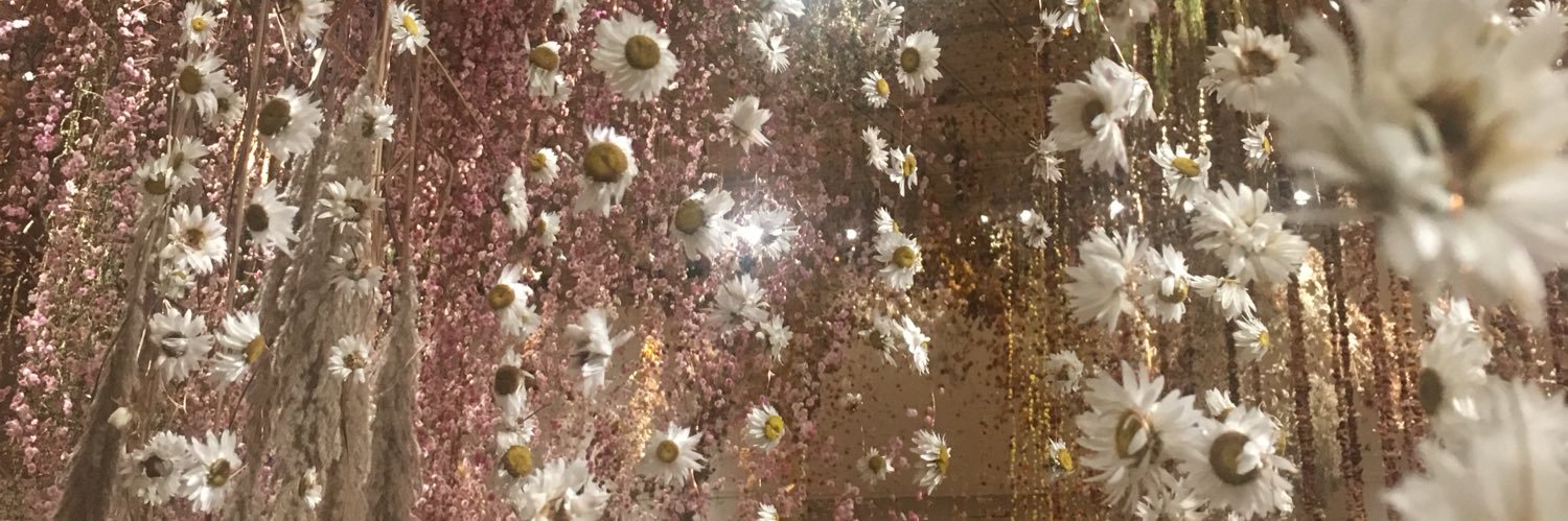 mayapapayaaa16's profile banner image