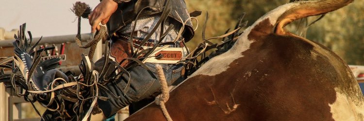 cjohnson_3's profile banner image