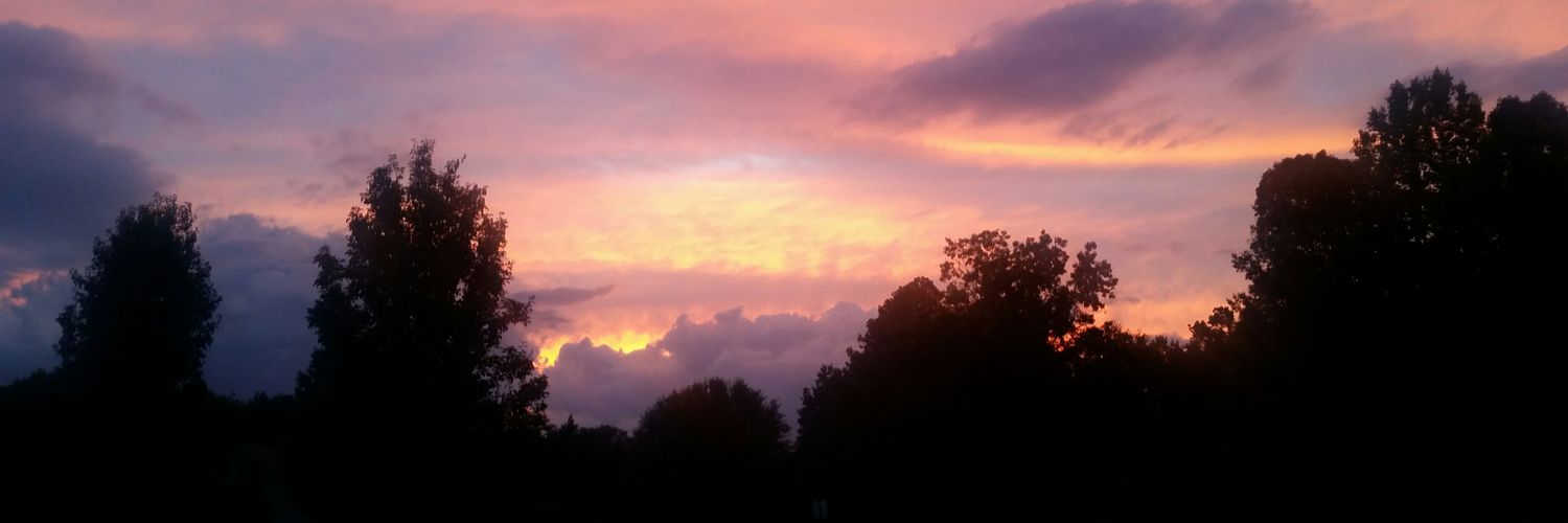 ebparker_'s profile banner image