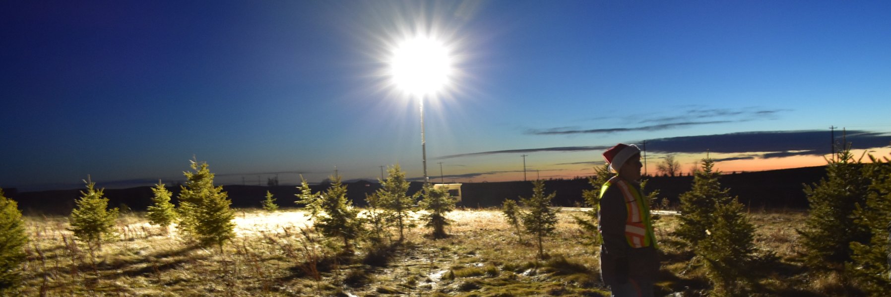 MHTreeFarm's profile banner image