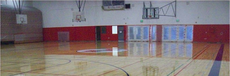 halehoops's profile banner image