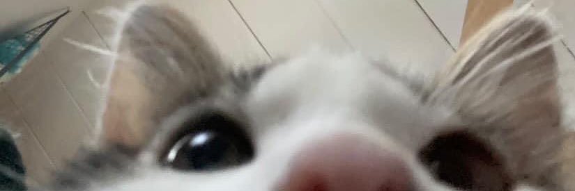 alloyisj's profile banner image