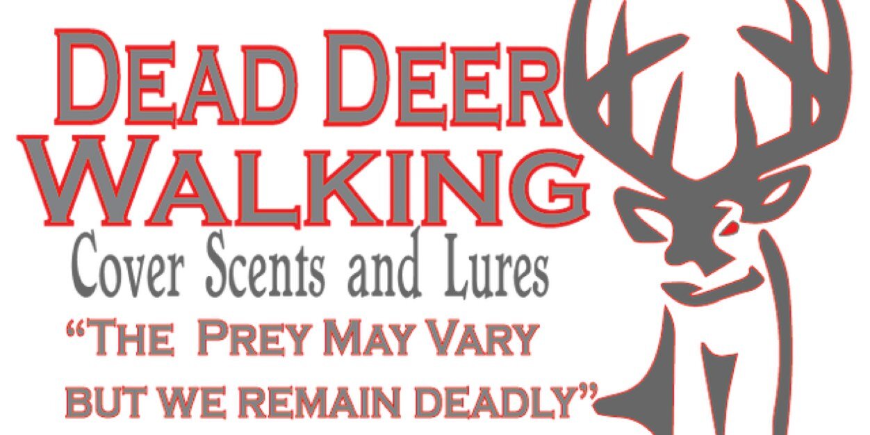 DeerWalking's profile banner image