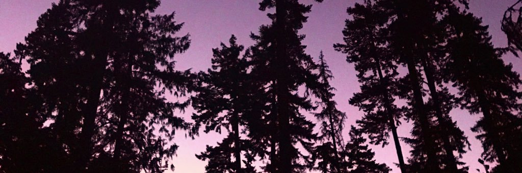rowanlapi's profile banner image