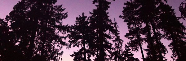 rowanlapi Profile Banner