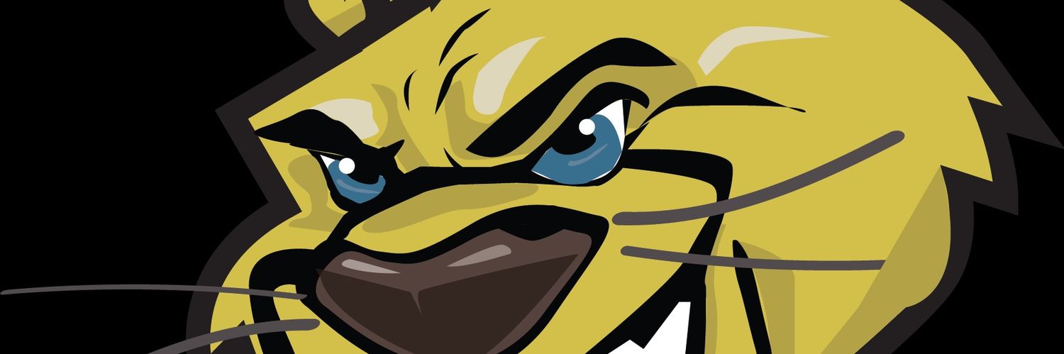 NPHS Athletics banner