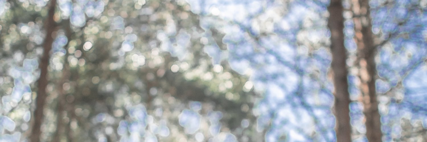 LauraCGC_'s profile banner image