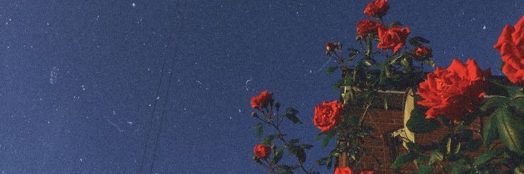 CALL ME ROSE banner
