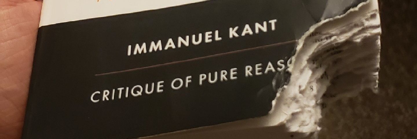 heterosexual thought leader 🌶🇵🇸 banner