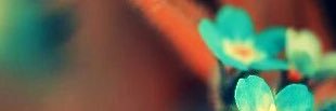 SukhdaveK's profile banner image