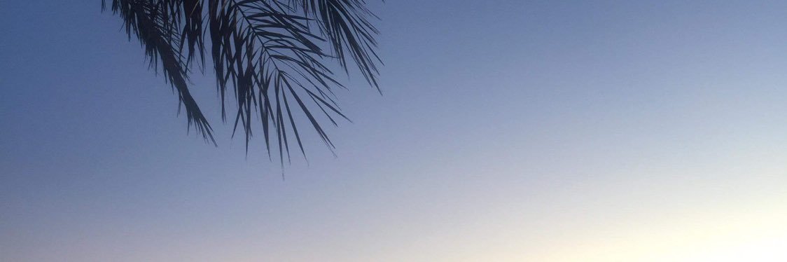 mathildechauve3's profile banner image