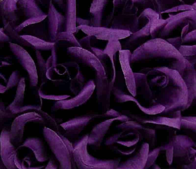 ladyles43's profile banner image