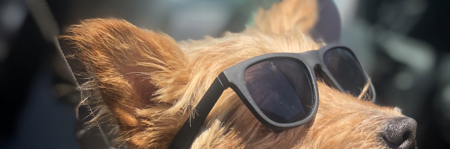 PanguloPrince's profile banner image