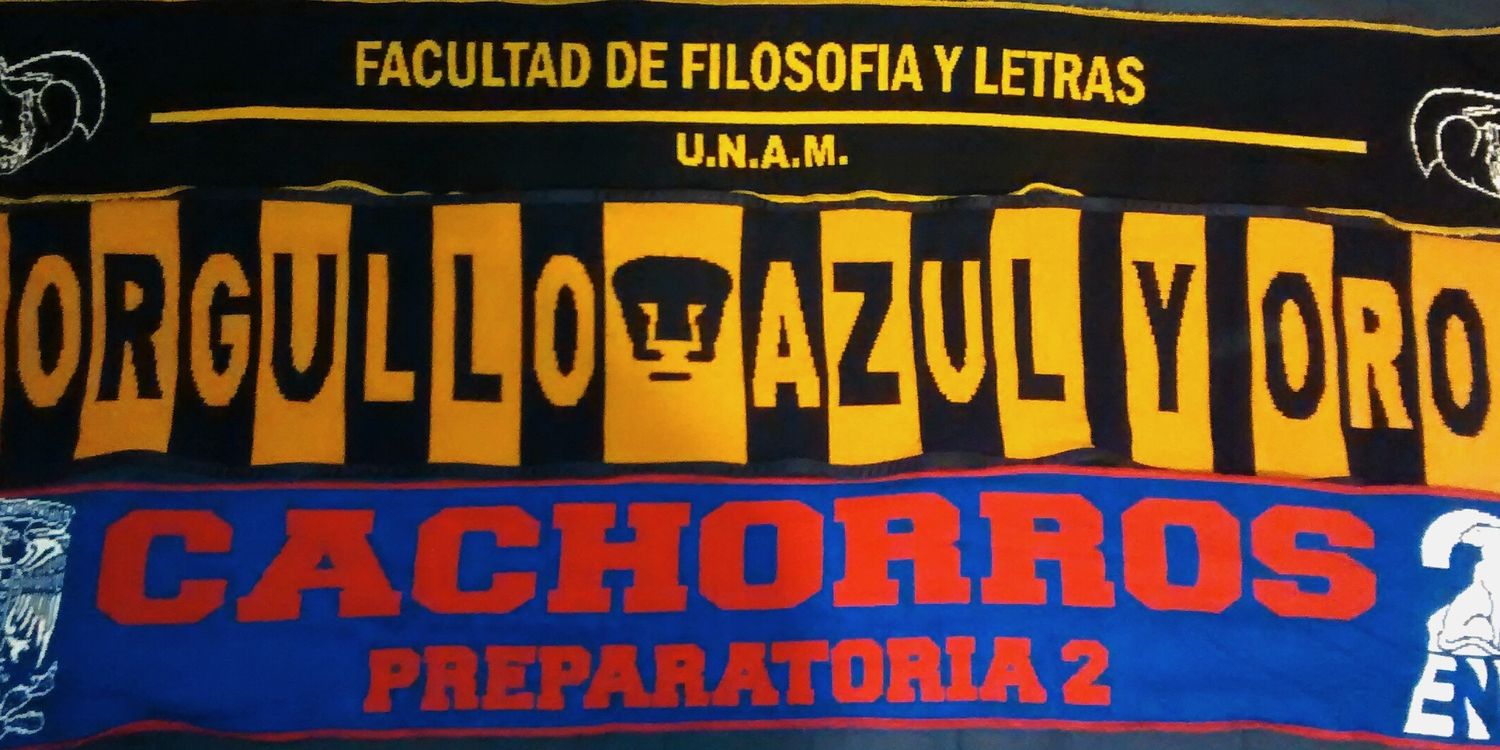 Rodrigo Sandoval banner