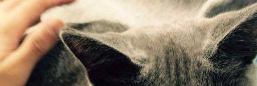 realcxye's profile banner image