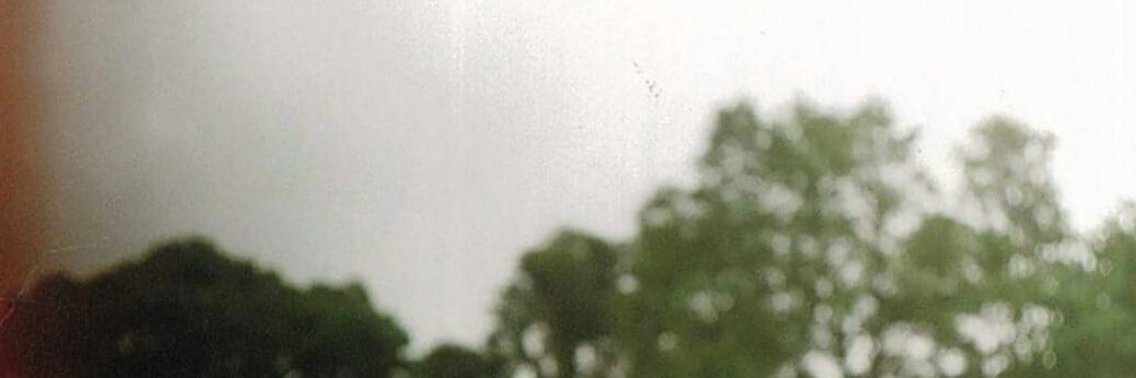 Prehistöricos banner