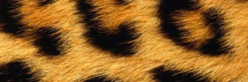 TtrtOr's profile banner image