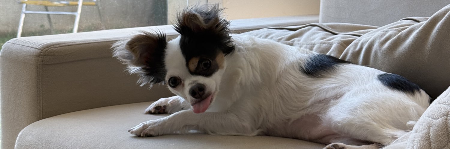 Jessica Ballut banner